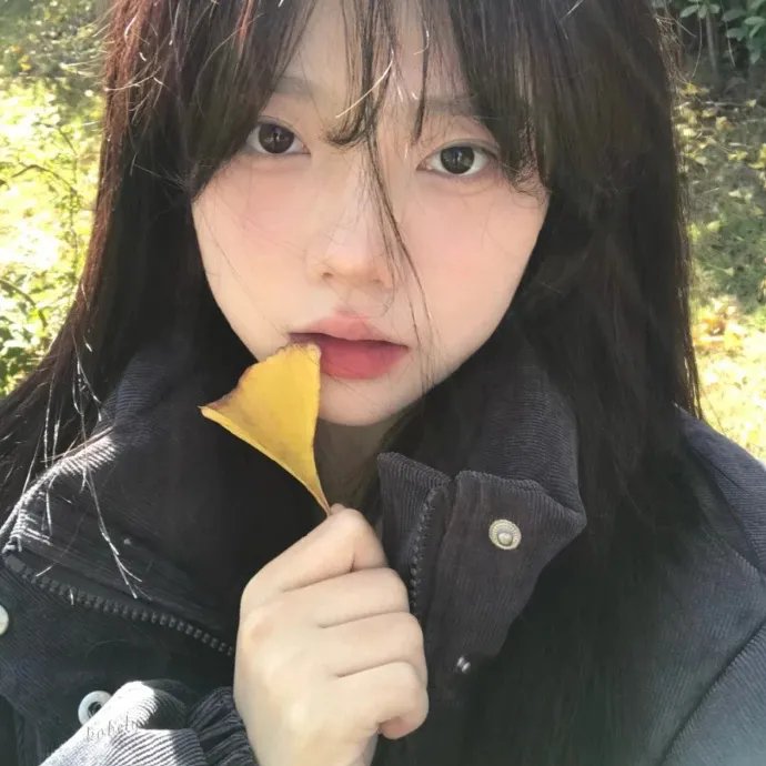好月重圆